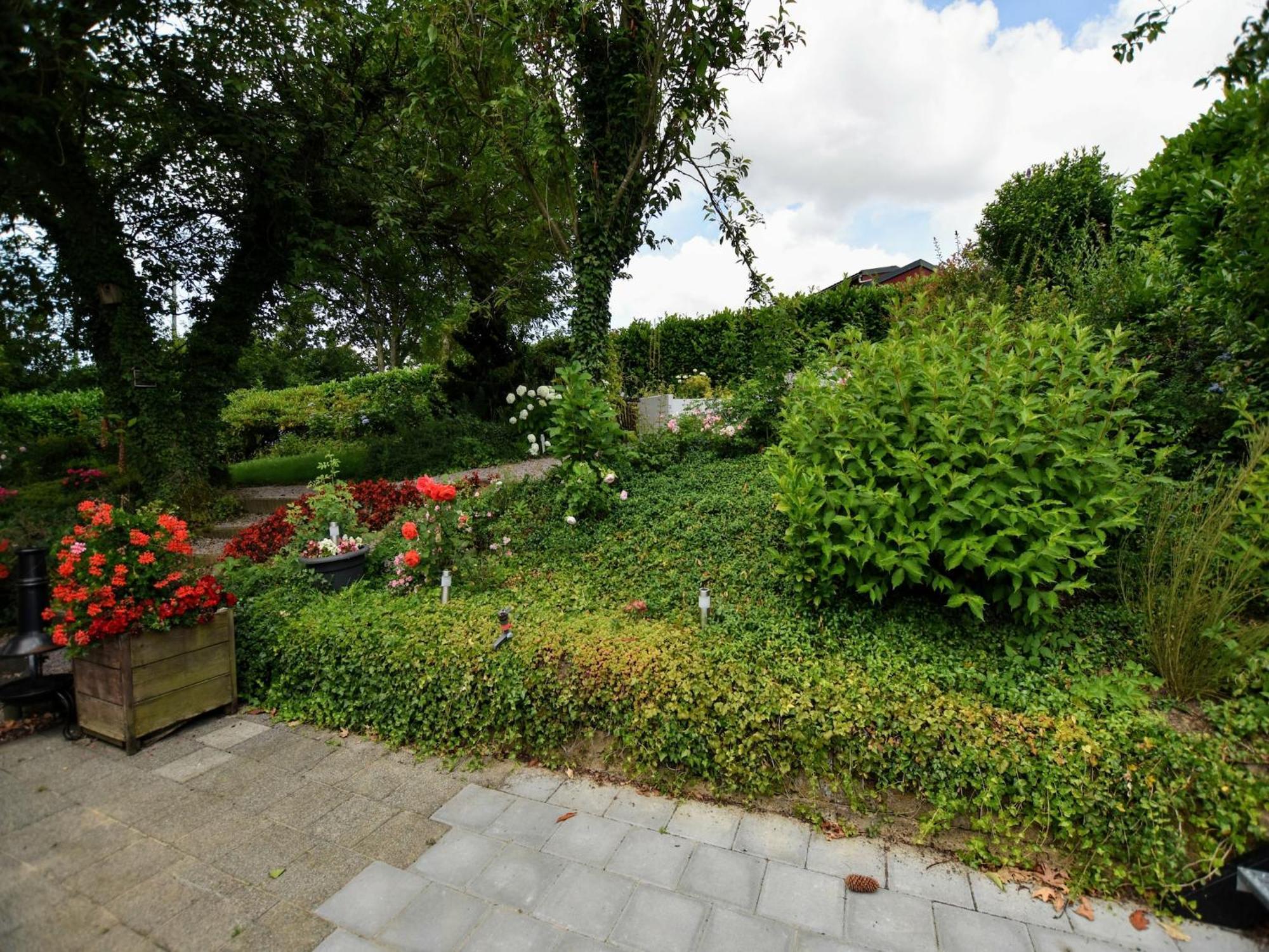 Luxury House In South Limburg Near Forest Walem Exteriör bild
